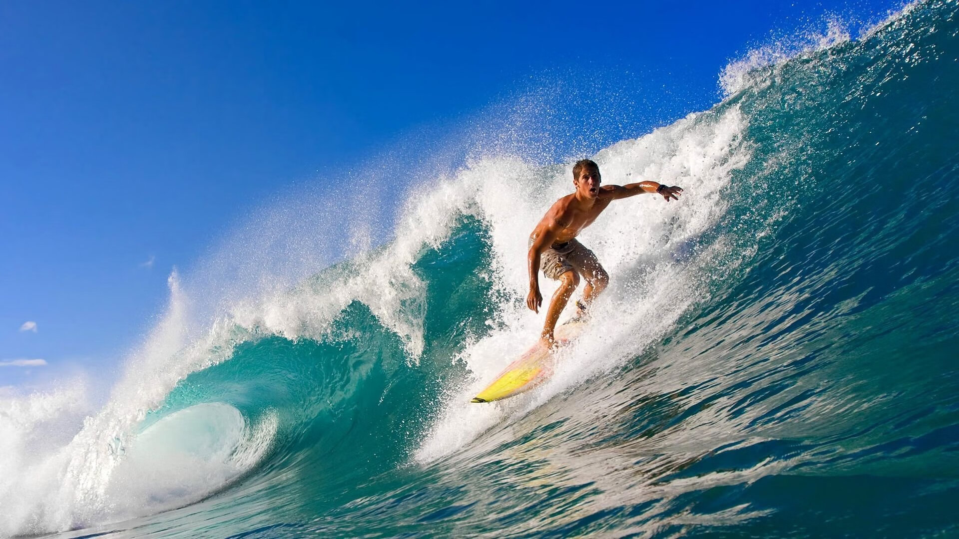 球迷文化铸就赛场灵魂，从助威到公益，看体育精神的多元表达